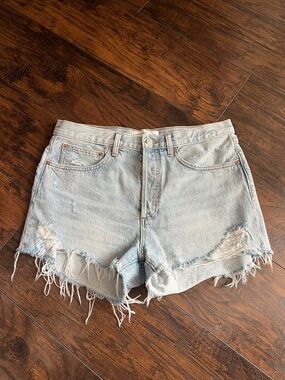 Aritzia Denim Forum The Ex Boyfriend Short